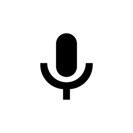 voice